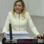İYİ Partili Aylin Cesur'dan skandal sözler!
