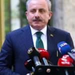 Şentop, Ayasofya'nın ibadete açılacağı tam tarihi açıkladı