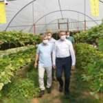 Yeşilyurt Belediyesi tarımsal hizmette büyük yol aldı