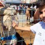 Bağcılar'da 24 kurban kesim noktası belirlendi