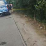 Başından vurularak &ouml;ld&uuml;r&uuml;lm&uuml;ş: Cesedi yol kenarında bulundu