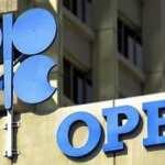 OPEC'in petrol üretimi 2019'da yüzde 6 düştü