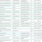 Samsun 2020 nitelikli okullar taban puanları ve LGS yüzdelik dilimleri