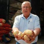 İhracat sınırlaması kalkan patates ve soğan dış piyasayı hareketlendirebilir