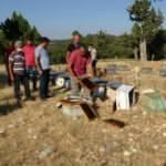 Arı kovanlarına sinek ilaçlı saldırı