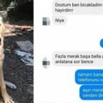Bıçakla yaralayıp serbest bırakıldı çıkınca öldürdü, sonra da bu cevabı verdi!