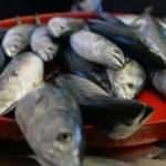 Halde 3.5 lira, restoranda 110 lira!