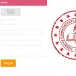 LGS tercih ekranı 2020: LGS robotu, lise taban puanları, yüzdelik dilim görüntüleme!