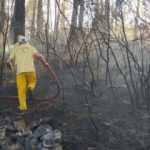 Mangaldan &ccedil;ıkan yangın 7 hektarlık ormanlık alanı yok etti