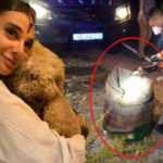 Son dakika: Pınar Gültekin'in katil zanlısından çıldırtan ifadeler