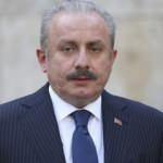 Şentop'tan Hatay'ın ana vatana katılmasının 81. yıl dönümü mesajı