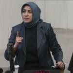 TBMM'de yüksek tansiyon! Özlem Zengin'den HDP'lileri susturan cevap!