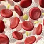 Trombosit nedir? PLT yüksekliği ve düşüklüğü hangi hastalıklara neden olur? 