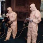 Ayasofya-i Kebir Cami-i Şerifi dezenfekte edildi