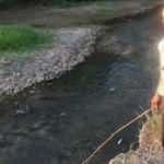 &Ccedil;an&rsquo;da korkutan balık &ouml;l&uuml;mleri