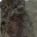 Define avcıları, tarihi kiliseyi dinamitle patlattı