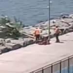 İBB ekipleri, Florya sahilindeki ağaçları kesti!