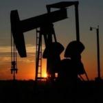 Brent petrolün varili 45,02 dolar