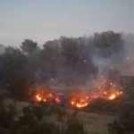 Soma'da orman yangını: 1 u&ccedil;ak, 5 helikopter havadan m&uuml;dahale ediyor