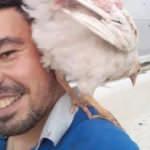 Tavuk hobisi ölümüne sebep oldu