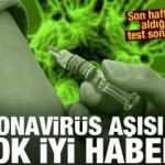 Coronavirüs aşısı için 'çok iyi haber' geldi