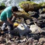 Deniz kenarında tarihi eser bulundu