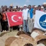 Kurbanlar yoksulların bayramı oldu! Milletin vekaleti 3 kıta 23 ülkede
