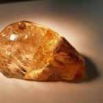 Eşsiz bir keşif! 230 milyon yıllık