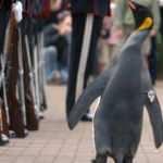 İlgin&ccedil; ama ger&ccedil;ek! Bunları daha &ouml;nce hi&ccedil; duymadınız!