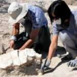 Kayseri'deki ilk kez 7,5 milyon yıllık kaplumbağa fosili bulundu