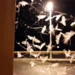 30 dakika dans edip &ouml;l&uuml;me u&ccedil;tular