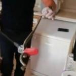 Eve giren yılan paniğe neden oldu