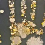 &Ouml;ğrendiğinizde hayrete d&uuml;şeceğiniz ger&ccedil;ekler!