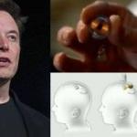 Elon Musk, insan beynini bilgisayara bağlayan Neuralink'i tanıttı