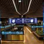 Borsa ilk yarıda yükseldi