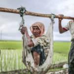 Arakanlı Müslümanların dramı son bulmuyor