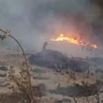 S&ouml;ke'de yine yangın; 5 d&ouml;n&uuml;m arazi k&uuml;l oldu