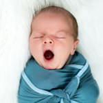 Somer ismi ne anlamı ve kökeni nedir? Somer ismi Kuran-ı Kerim'de geçiyor mu?