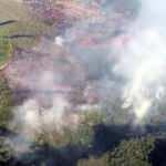 Zonguldak'ta ormanlık alanda yangın