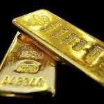 Altına hücum ettiler! Günde 2 ton alıyorlar