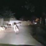 Bartın'da ayılar yola indi!