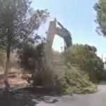 CHP'li belediyenin ağaç katliamı vatandaşı çileden çıkardı