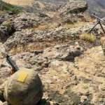 'Pençe'de 320 terörist öldürüldü!