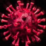 Ankara, Konya, Yalova, İzmir'de yeni korona yasakları!