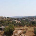 Yeni gelin b&uuml;t&uuml;n k&ouml;y&uuml; karantinaya aldırtmıştı! K&ouml;yl&uuml;lerin savunması pes dedirtti