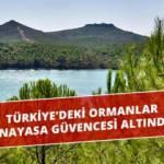 Türkiye’deki ormanlar Anayasa güvencesi altında