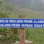 Yaylaya çöp bırakanlara tabelalı uyarı: Bu bölge ineklerin