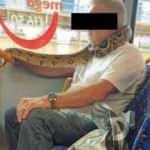 Yılanı boynuna sarıp otobüse bindi!