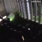 ABD’de polis teslim olan şüpheliyi köpeğe ısırttı