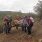 Dereye düşen tosun 3 saatlik çalışma ile kurtarıldı